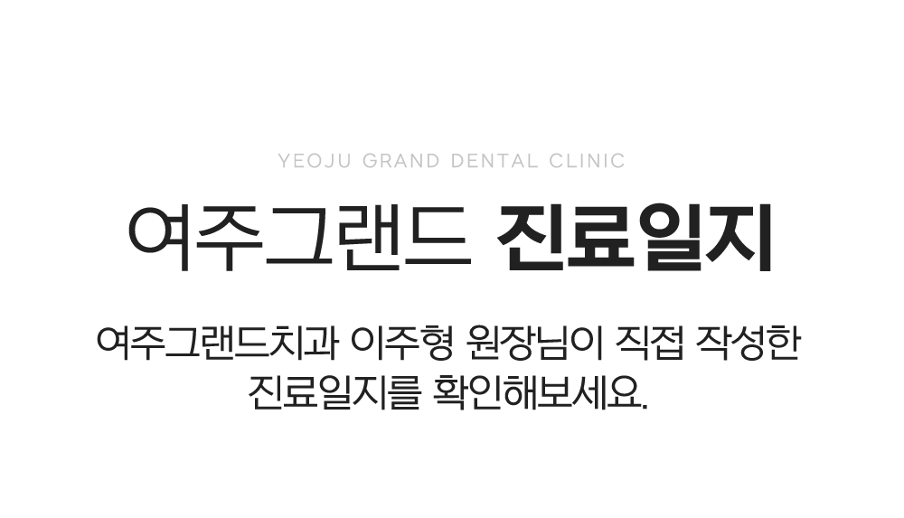 진료일지